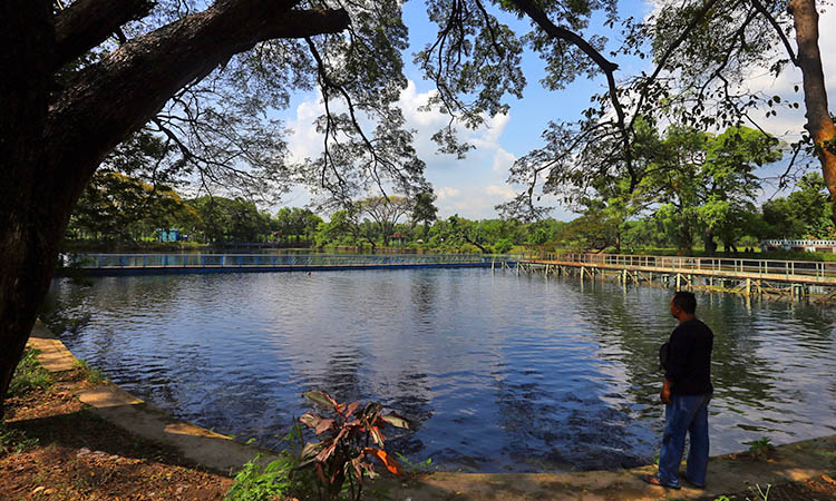 INDAH: Danau Ronggojalu yang terbentuk dari kisah Ki Ronggo dan Ki Jalu. Sumber mata air ini terletak di Desa Banjarsawah, Kecamatan Tegalsiwalan, Kabupaten Probolinggo.