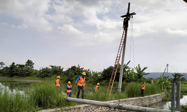 SUDAH DIPERBAIKI: Petugas PLN membenahi jaringan listrik yang padam karena kabel listrik tersangkut bak dump truck di ruas jalan Desa Pajurangan, Gending.