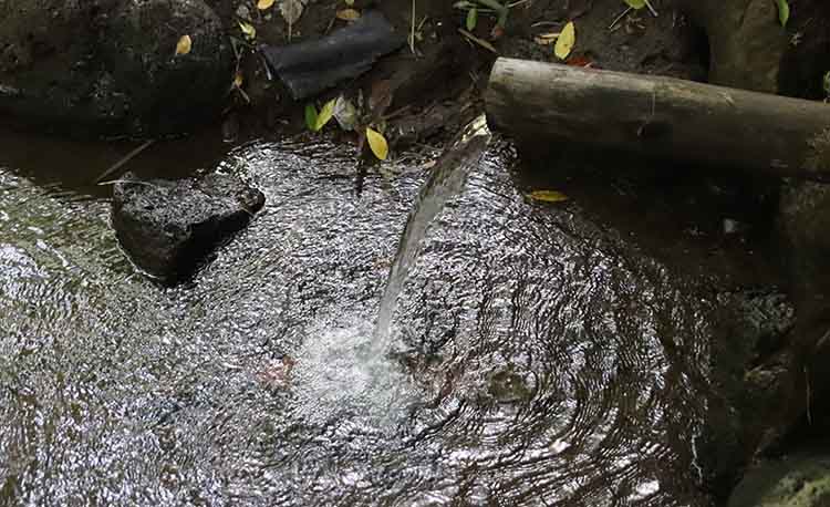 SEJUK: Suasana di Sumber Mata Air Pancoran, Dusun Pancoran, Desa Banjarsawah, Kecamatan Tegalsiwalan, Kabupaten Probolinggo, begitu sejuk.