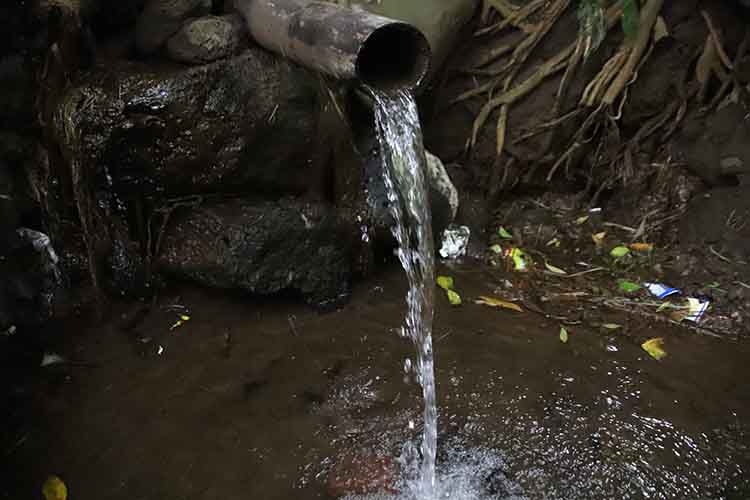 SEJUK: Suasana di Sumber Mata Air Pancoran, Dusun Pancoran, Desa Banjarsawah, Kecamatan Tegalsiwalan, Kabupaten Probolinggo, begitu sejuk.