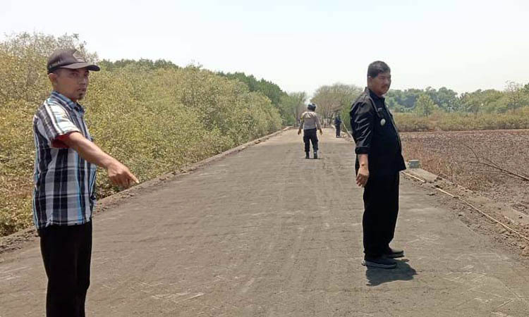 BANTUAN PROVINSI: Plt Kepala Desa Penunggul Abdul Rohmad Noloyudo (kiri) memantau peningkatan jalan menuju wisata Mangrove.