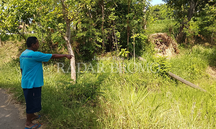 RAWAN ROBOH: Mustofa, 49, menunjuk tiang listrik yang sudah roboh ke lahan sawahnya yang ditanami padi.