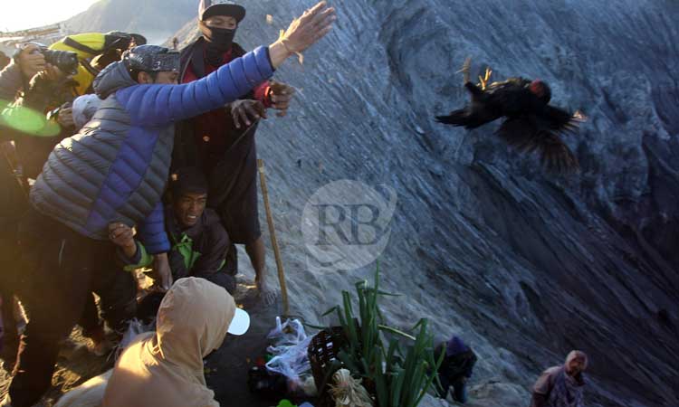 Warga suku Tengger Bromo sedang melarung saji seekor ayam saat perayaan Yadnya Kasada 1946 Saka di bibir kawah Gunung Bromo, Sabtu (22/6/2024) pagi.