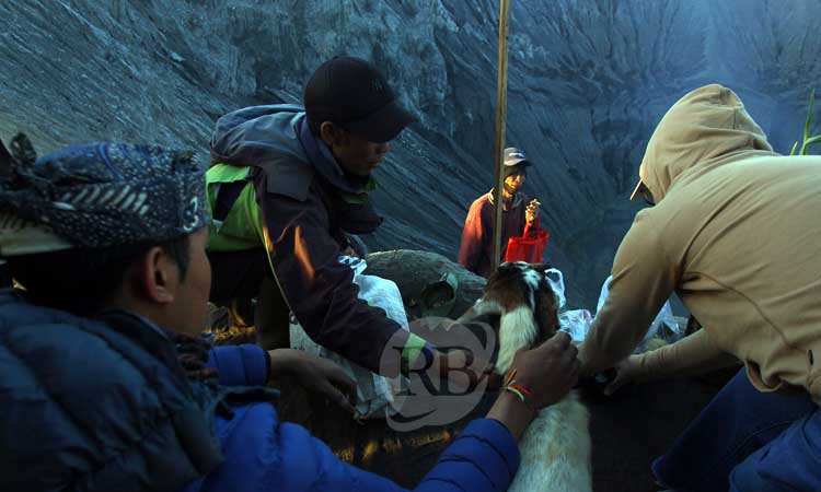 Warga suku Tengger Bromo tengah melarung saji seekor kambing saat perayaan Yadnya Kasada 1946 Saka di bibir kawah Gunung Bromo, Sabtu (22/6/2024) pagi.