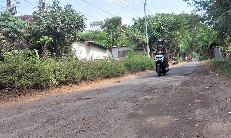 BERLUBANG: Ruas jalan Wotgalih, Kecamatan Nguling, yang kondisinya tak nyaman. Banyak ruas jalan berlubang, rentan memakan korban.
