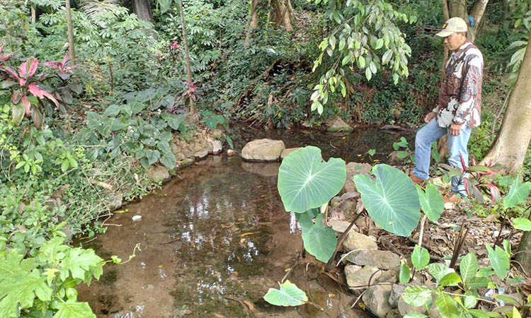 SEGAR: Sumber Buntung di Dusun Butut, Desa Gajahrejo, Kecamatan Purwodadi, memiliki sumber air yang jernih dan segar.