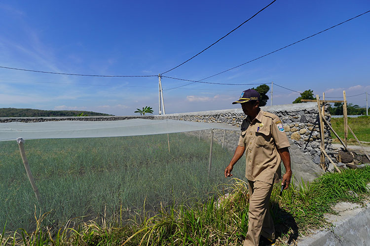 EMBUNG: Kepala Desa Sekarkare Senadi di lokasi pembangunan embung air sebagai lokasi penampungan air bagi area persawahan di Desa Sekarkare, Kecamatan Dringu, Selasa (9/7).