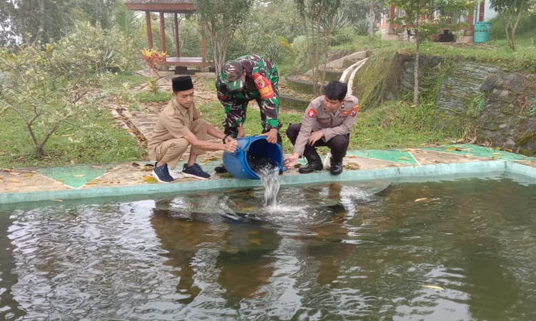 KETAHANAN PANGAN: Bendahara Desa Guyangan As&rsquo;ad (pakai baju keki) didampingi TNI dan Polisi wilayah setempat menebar benih ikan nila kedalam kolam.