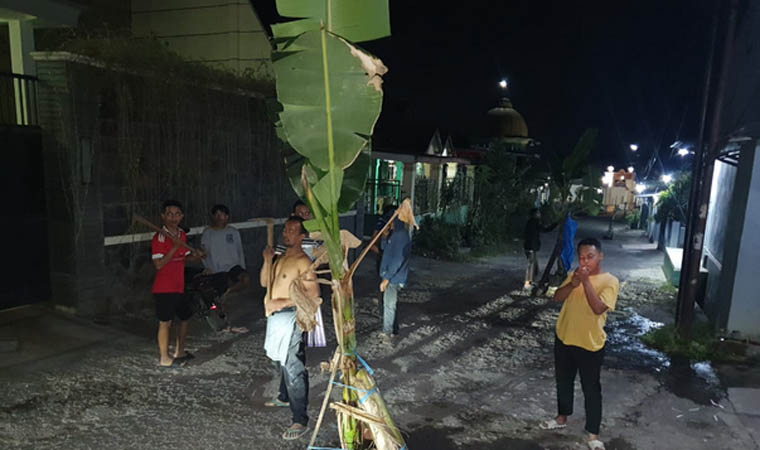 BENTUK PROTES: Pohon pisang yang ditanam warga di Desa Ketanireng, Prigen. Aksik ini dilakukan sebagai protes lantaran jalan tak pernah dibenahi sejak 2008.
