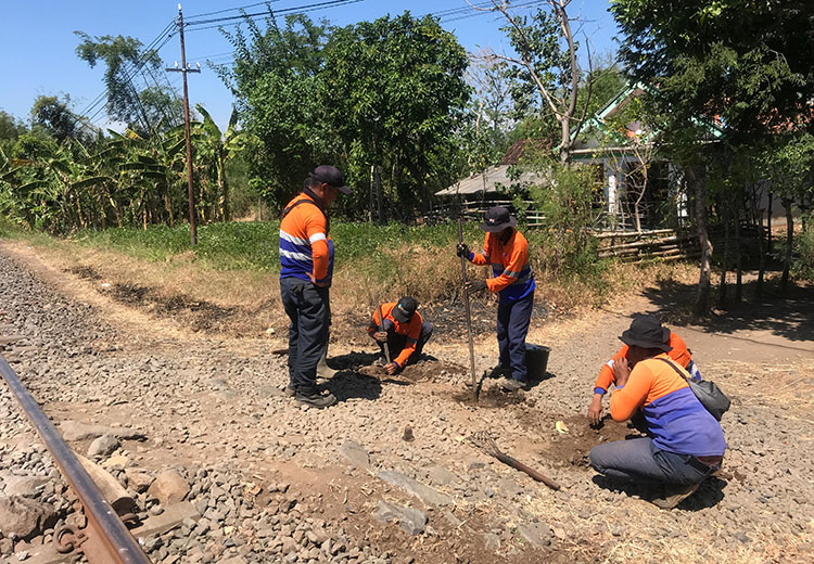PASANG PATOK: Petugas dari PT KAI Daop 9 Jember menggali lubang untuk memasang tiang untuk penyempitan perlintasan KA di Desa Malasan Kulon, Minggu (14/7).