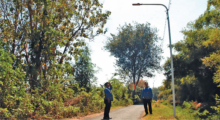 LENGKAP: Kepala Desa Pohsangit Ngisor Nijar meninjau hasil pemasangan PJU di jalan Dusun Krasak. Pengadaan PJU ini dialokasikan dari dana desa tahap pertama 2024.