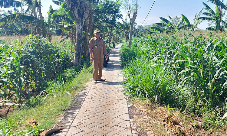 LEBIH BAIK: Kepala Desa Tunggak Cerme Musta&rsquo;in bersama perangkat desa menunjukan jalan di Dusun Krajan RT 14 sampai RT 16 yang sudah paving.