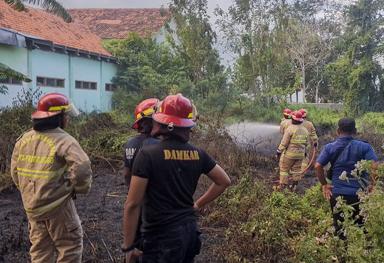 Api Membara di Lahan Dekat Sekolah di Kademangan, Syukur Damkar Datang ...