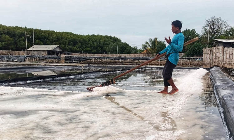 ANDALKAN MATAHARI: Petani tambak garam di Probolinggo saat produksi di lahannya.