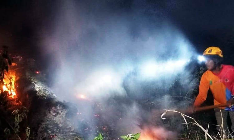 PADAMKAN: Petugas BPBD Kabupaten Pasuruan berusaha untuk memadamkan api di kawasan hutan Gunung Perahu, Desa Watukosek, Kecamatan Gempol.
