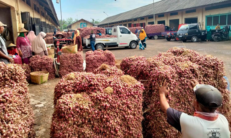 PLASI: Tampak aktivitas para pedagang bawang di Pasar Bawang Dringu.