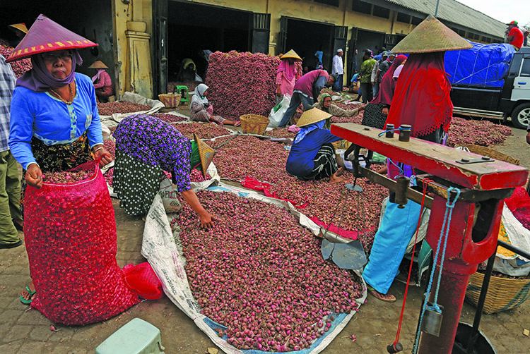HARUS SABAR: Sejumlah pekerja membersihkan bawang merah di Pasar Bawang Merah di Kecamatan Dringu.