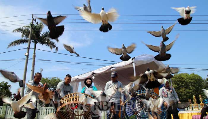 LEPAS RATUSAN : Seremonial dimulainya kontes burung berkicau "Probolinggo Kicau Mania" ditandai dengan pelepasan ratusan burung merpati oleh Pj. Wali Kota Nurkholis, Minggu (1/09).