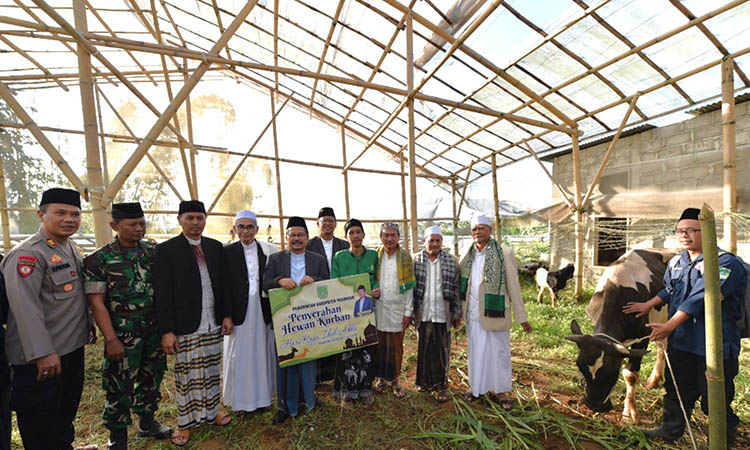 HIBAH: Pemberian hewan kurban 1 ekor sapi limousin seberat 650 kg dan juga 2 ekor kambing oleh Pj Bupati Pasuruan Dr. Andriyanto, S.H., M.Kes.&shy;