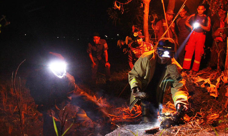 PENYELAMATAN: Personel Damkar mengevakuasi sarang tawon vespa. (M. Zubaidillah/Radar Bromo)
