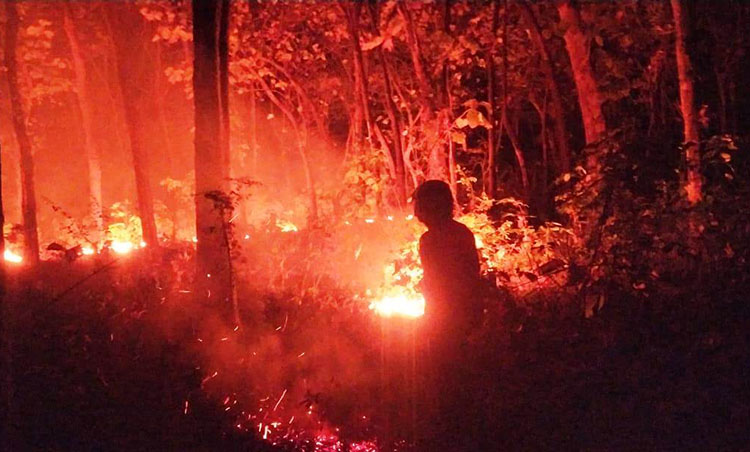 MENYALA: Petugas memadamkan api yang membakar petak 26b Blok Jati Gunung, Desa Klenang Kidul, Kecamatan Banyuanyar.