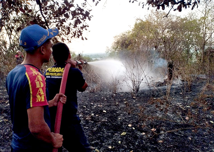 LAWAN API: Petugas dari tim gabungan memadamkan kebakaran lahan di wilayah Lapan atau BRIN, Gunung Perahu, Desa Watukosek, Kecamatan Gempol.