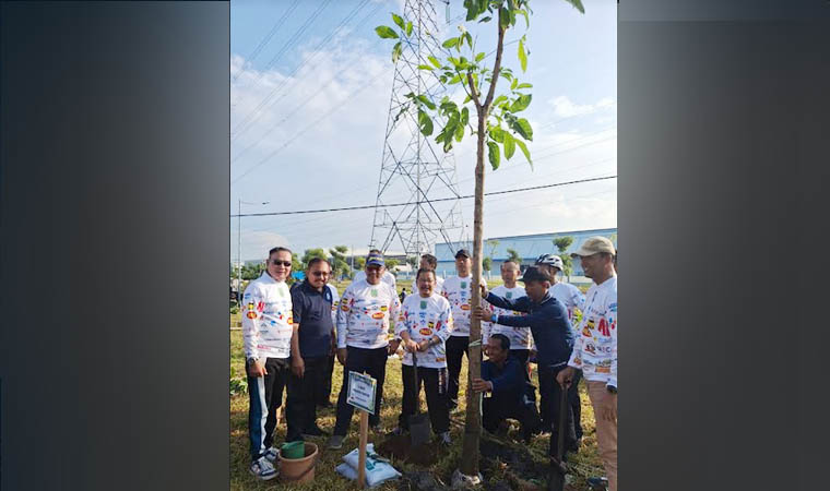 HASILKAN OKSIGEN: Program penanaman pohon yang kerap dilakukan Dinas Lingkungan Hidup. Dalam kegiatan di hari Lingkungan Hidup, ada penanaman bibit pohon tabebuya.(DLH for jawa Pos Radar Bromo)