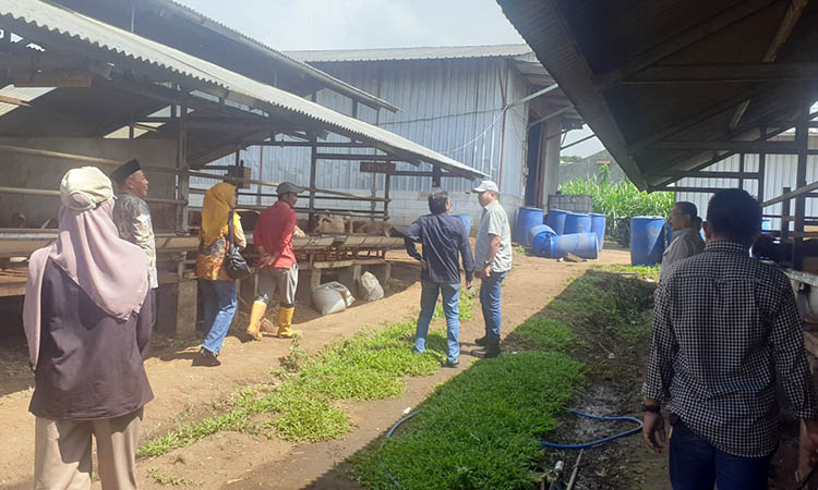 TINJAU: Peninjauan lokasi peternakan kambing di kawasan Boerja Bedali oleh jajaran anggota Komisi II DPRD Kabupaten Pasuruan periode 2019-2024.