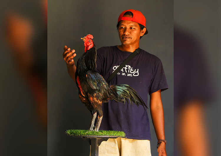 BERKUALITAS: Fathullah alias Pak O bersama salah satu ayam pakhoy super di ruang kontes miliknya.