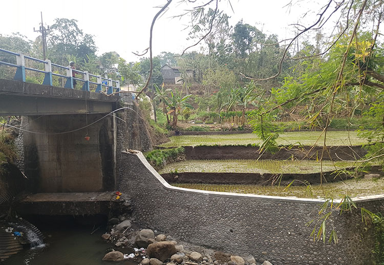 RAMPUNG: Salah seorang tukang menimba air dari atas jembatan untuk kebutuhan pembuatan tangga dari sawah menuju jalan raya.
