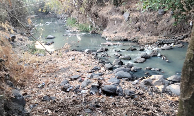 DIKELUHKAN WARGA: Kali Wangi di Dusun Tanggul, Desa Baujeng, Kecamatan Beji yang airnya terlihat berwarna keputihan seperti susu.