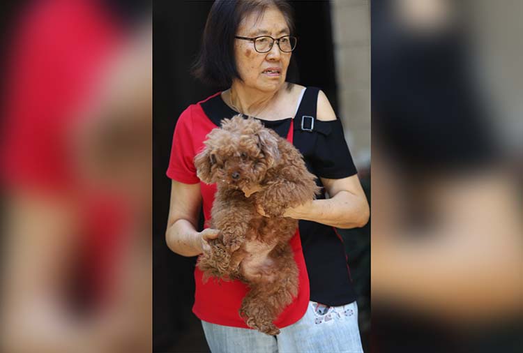 SENANG: Lelyana, menggendong salah satu anjingnya jenis Poodle di rumahnya, Kelurahan Pilang, Kecamatan Kademangan, Kota Probolinggo.