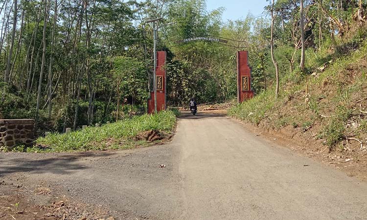 TKP: Pertigaan Desa Gunungbekel dan Tegalsiwalan tempat kejadian korban blantik sapi dirampok. (Innayah/ Radar Bromo)