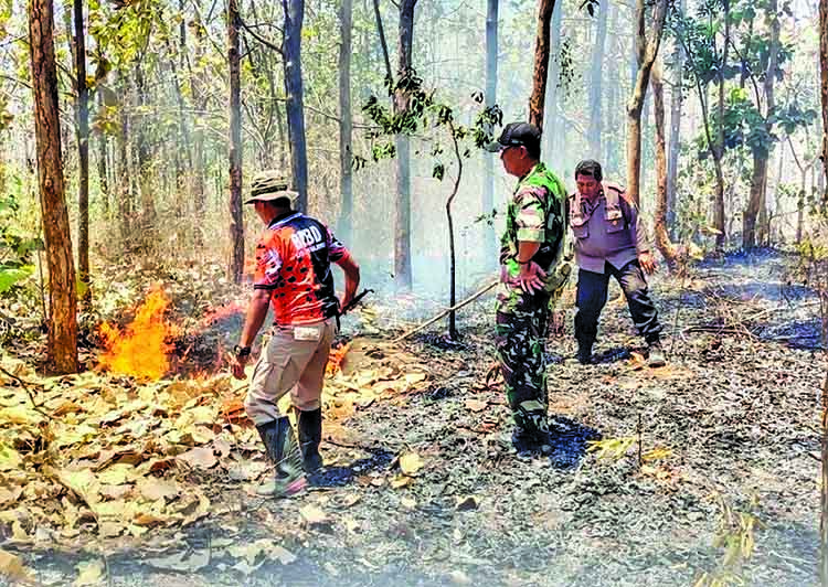 MERAMBAT: Petugas memadamkan api lahan Perhutani di Desa Tandonsentul, Kecamatan Lumbang, beberapa waktu lalu.
