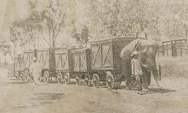 IRING-IRINGAN: Sederet peti berisi barang-barang keperluan sirkus yang ditarik menggunakan gajah. Tampak seperti iring-iringan kereta.