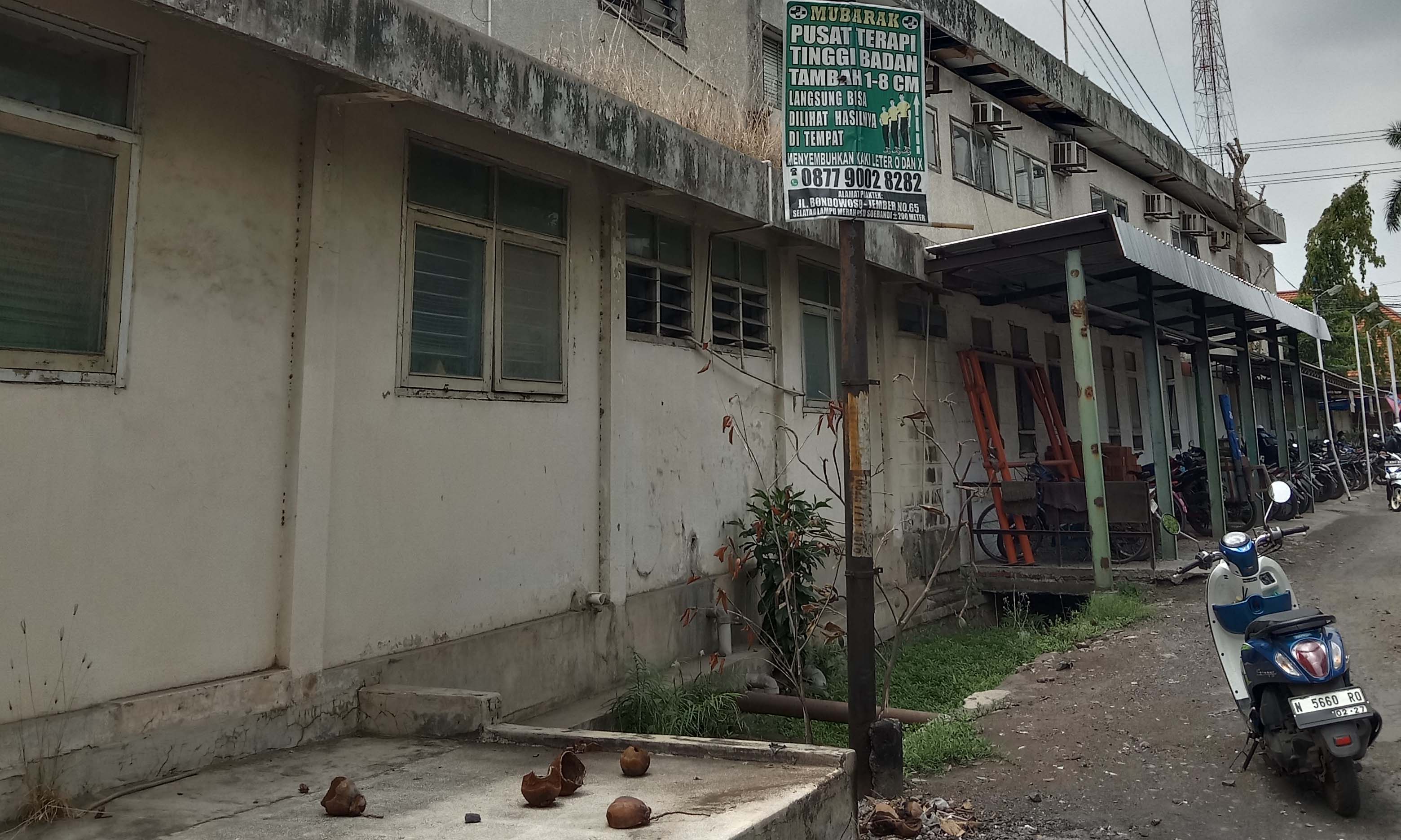 TERABAIKAN: Kondisi pabrik PT Kertas Leces yang kini memprihatinkan. Kondisnya ditumbuhi tanaman liar.