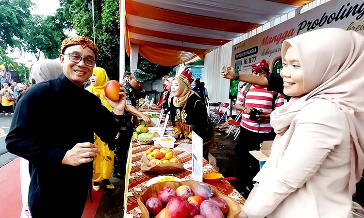 Pj Wali Kota Probolinggo M Taufik saat mengamati sejumlah varietas mangga Kota Probolinggo.