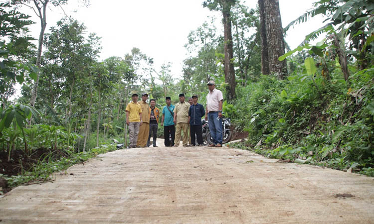 MULUS: Jalan sepanjang 150 meter di Dusun Rabeh, RT 8/RW 2 yang sudah dibangun Pemdes Seneng.&nbsp;(Moch. Vikry Romadhoni/Radar Bromo)