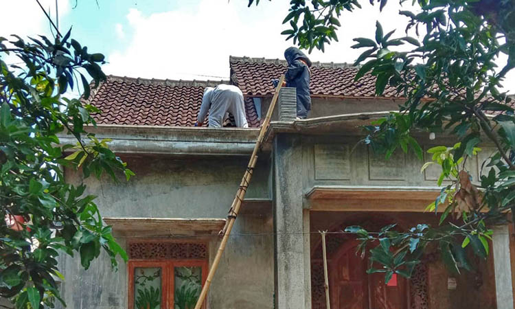 HATI-HATI: Dua personel Damkar mengevakuasi sarang tawon vespa dari atap rumah warga Dusun Krajan, Desa Nogosaren, Kecamatan Gading.