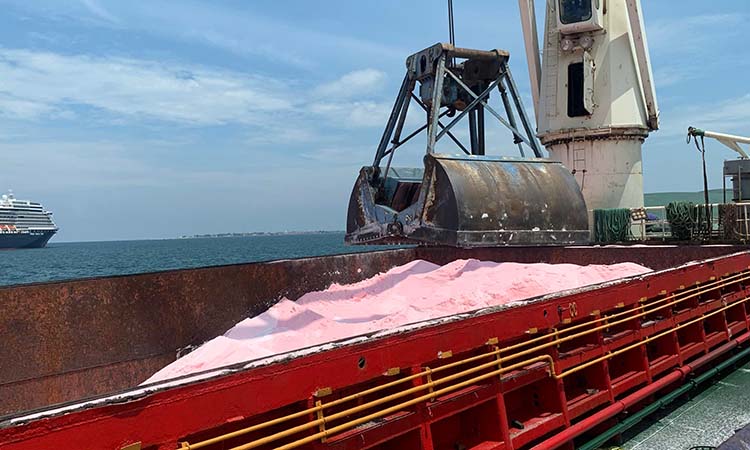 PROSES CEPAT: Pupuk curah yang dibawa kapal MV. Buana Gemilang 1 saat hendak dipindahkan ke truk.