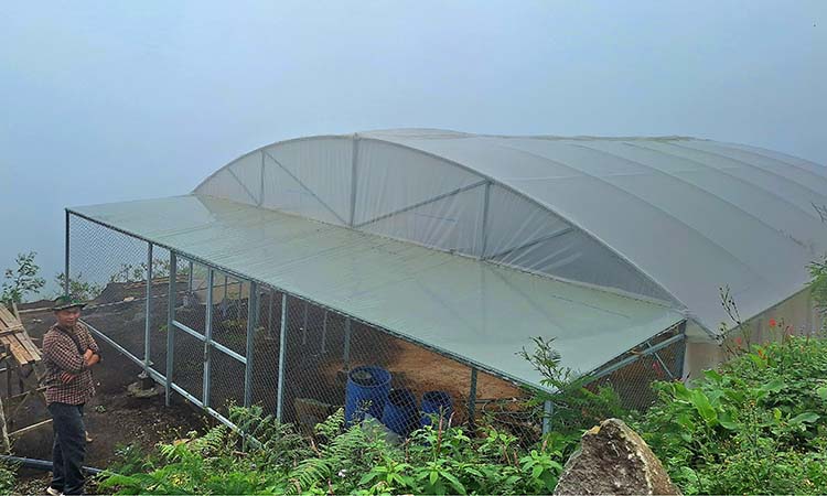 Green house yang dipakai untuk proses pengeringan biji kopi selama ini oleh KTO Sumadi, sehingga menghasilkan kopi spesial taste.