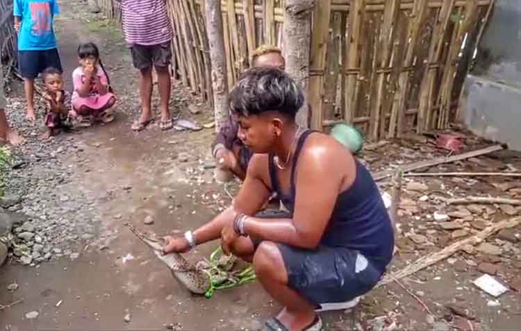 BIKIN WASWAS: Warga Desa Asembagus, Kecamatan Kraksaan, mendapatkan buaya di muara Sungai Rondoningo, ketika mencari kepiting.
