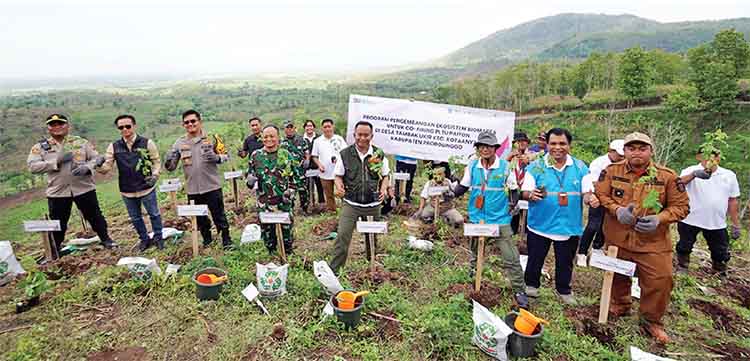 SIMBOLIS: Pj Bupati Probolinggo Ugas Irwanto beserta jajaran Forkopimda, Senior Manager PLN Nusantara Power UP Paiton dan pihak lainnya melakukan penanaman pohon gamal di Desa Tambakukir.