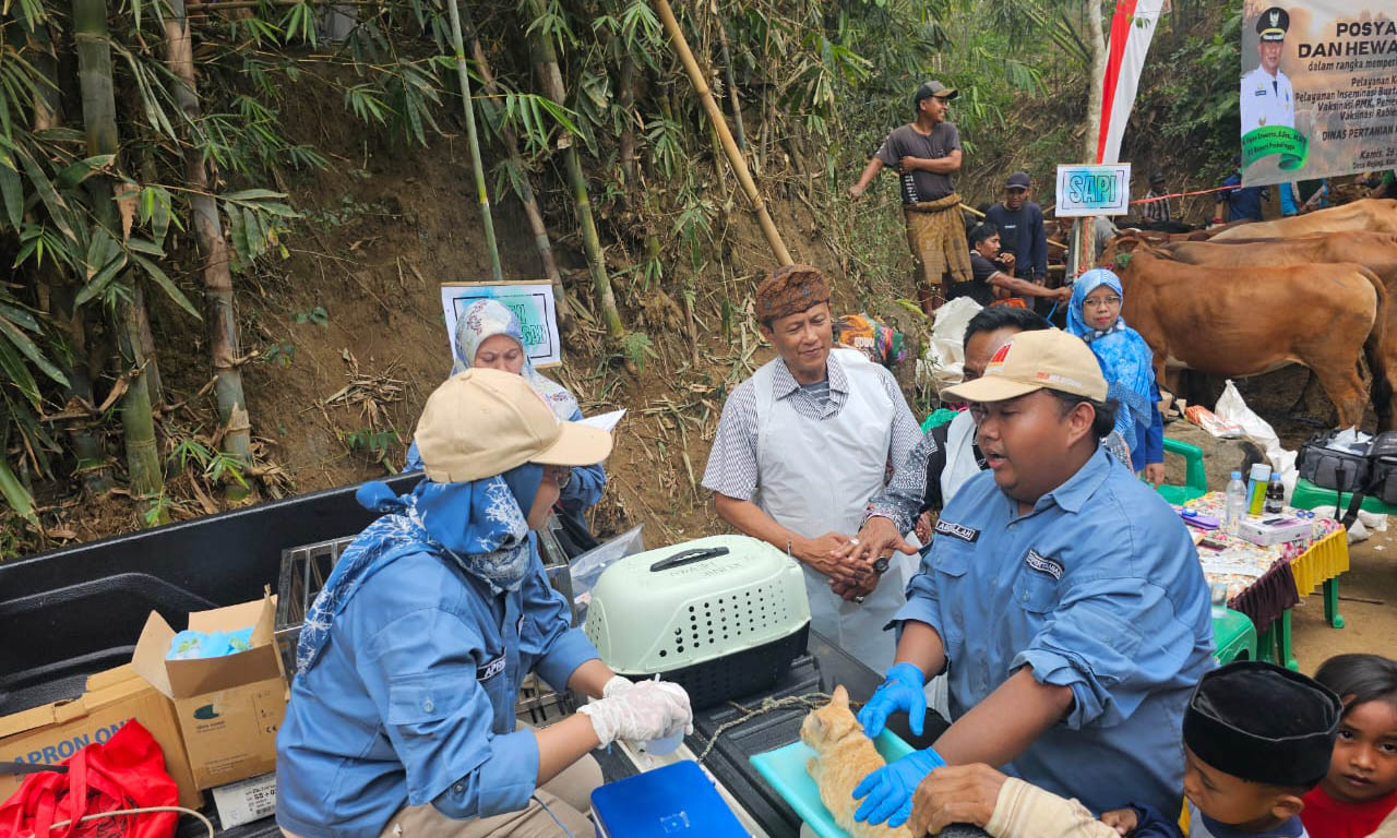 KE PELOSOK: Posyandu ternak di Kabupaten Probolinggo yang sampai kini masih terus digelar untuk mengurangi penyakit mulut dan kuku.