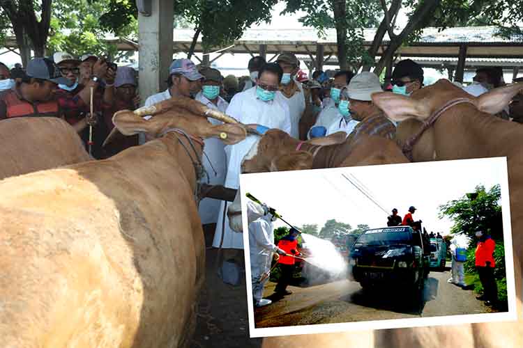 CEK LANGSUNG: Pj Gubernur Jatim Adhy Karyono meninjau langsung Pasar Hewan Wonoasih Kota Probolinggo, Selasa (14/1). Serta, sejumlah petugas menyemprot sapi menggunakan disinfektan sebelum masuk pasar
