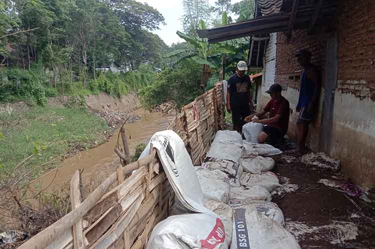 ANTISIPASI BANJIR: Sejumlah warga membuat tanggul darurat di belakang rumah Senami, yang hampir terkikis air Sungai Kedunggaleng, di Desa Kedungdalem, Kecamatan Dringu, Minggu (19/1).