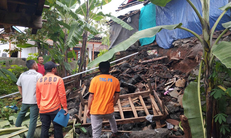 AMBROL: Tembok penahan tanah di Dusun Krajan, Desa Negororejo, Lumbang yang ambrol saat hujan deras dengan durasi lama.