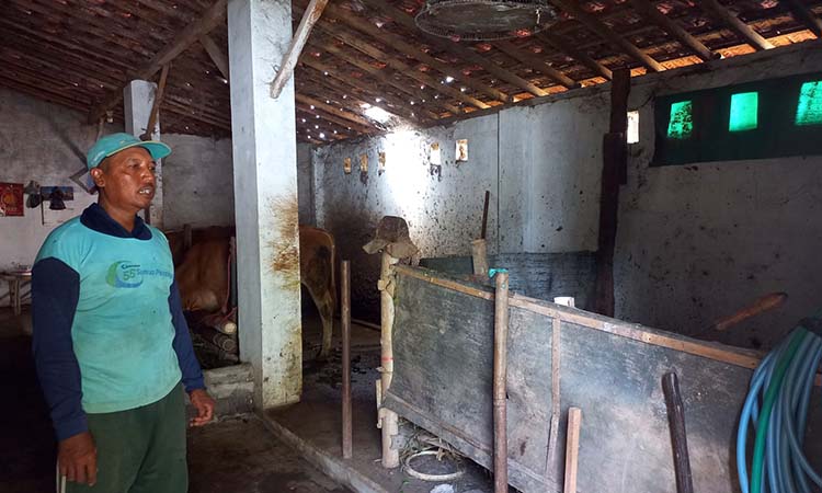 Samsul Arifin menunjukkan kandang kambing miliknya yang dibobol kawanan pencuri, Jumat (24/1). (Inneke Agustin/ Radar Bromo)