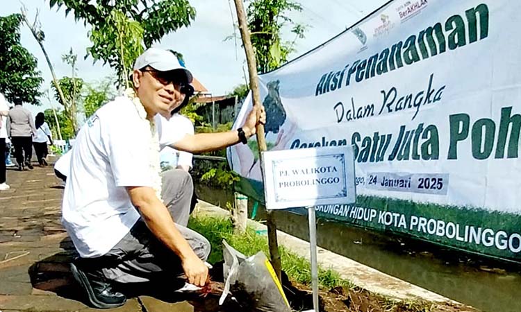 TANAM POHON: Pj Wali Kota Probolinggo Muhammad Taufik Kurniawan didampingi Kepala DLH Kota Probolinggo Retno Wandansari menanam pohon Bungur di pinggiran jogging track Maramis&ndash;Gladak Serang.