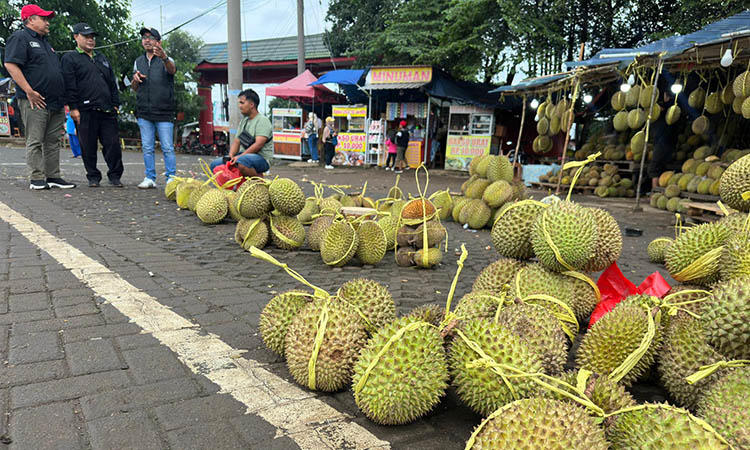 DIIKAT: Sejumlah durian yang dijual pedagang Pasar Wisata Cheng Hoo Pandaan. Viralnya durian mentah, membuat dewan melakukan sidak.